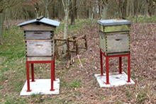 Beehive Stand April 2013