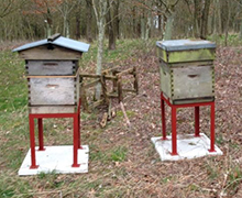 Beehive Stand April 2013